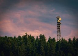 cell tower in wooded area